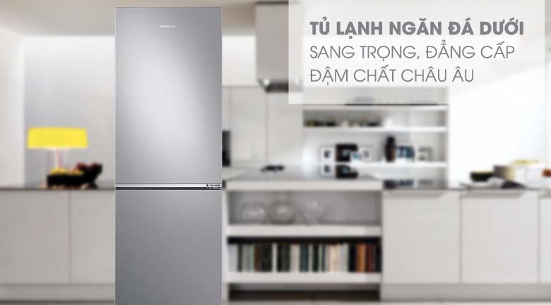 Tủ lạnh Samsung Inverter 310 Lít (RB30N4010S8/SV)