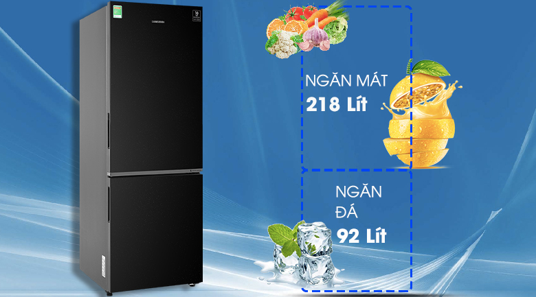 Tủ lạnh Samsung Inverter 310 Lít (RB30N4010BU/SV) (2 cánh)