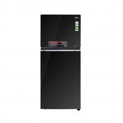 Tủ lạnh LG Inverter 393 Lít (GN-L422GB) (2 cánh)