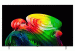 Smart Tivi OLED LG AI 4K 55 inch OLED55B6PSA
