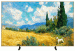 Google tivi TCL QD-Mini Led 4K 65 inch 2026 (65A400 Pro)
